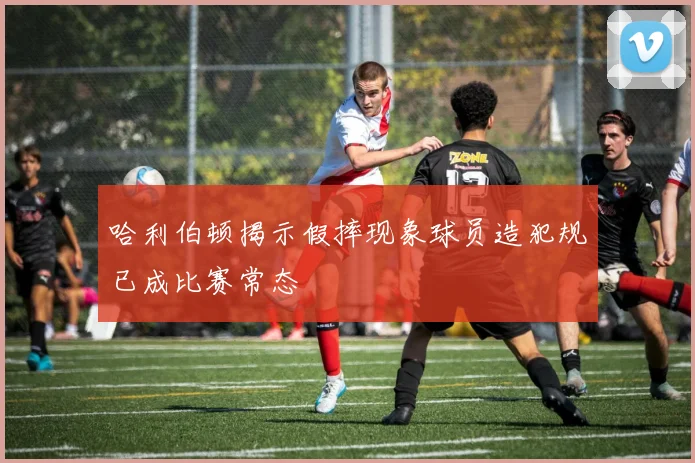 哈利伯顿揭示假摔现象球员造犯规已成比赛常态